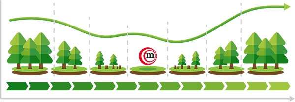 Responsible cutting of trees