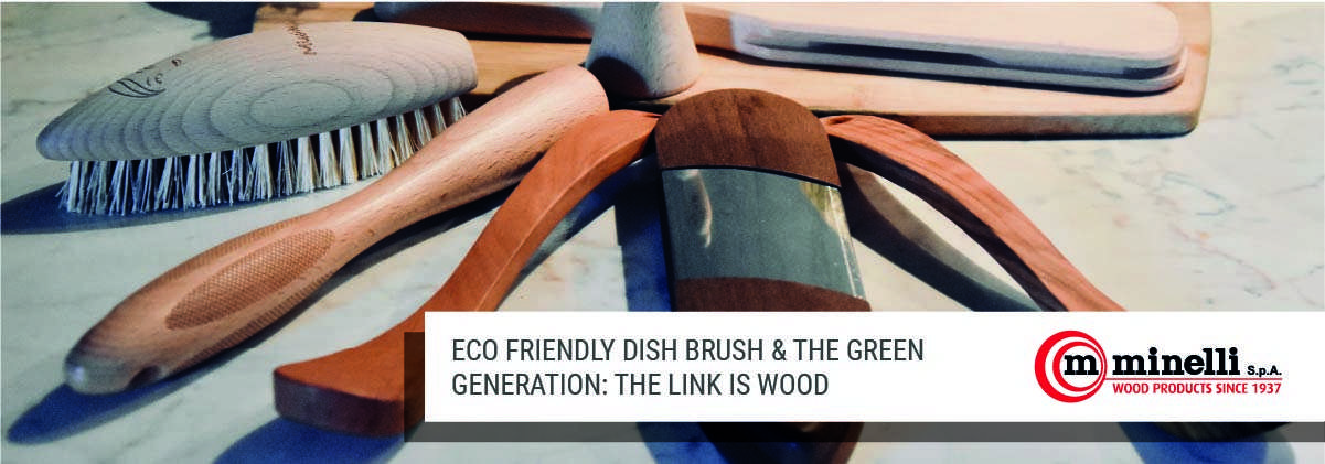 eco-friendly dish brush