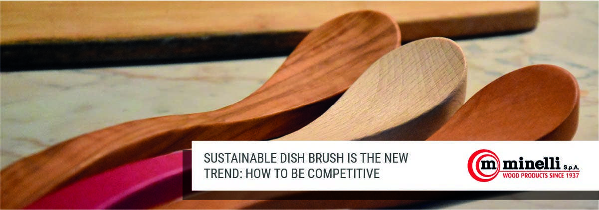 sustainable dish brush
